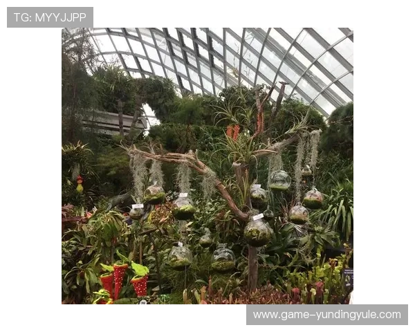 滨海湾金沙娱乐场：探索新加坡最具代表性的豪华娱乐综合体