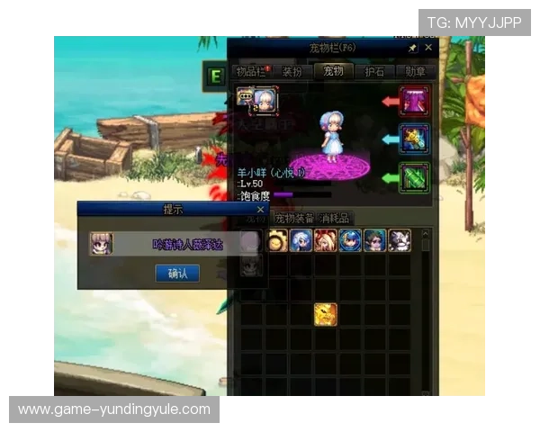 龙虎斗官网详细攻略指南，助你轻松掌握游戏技巧与战斗策略